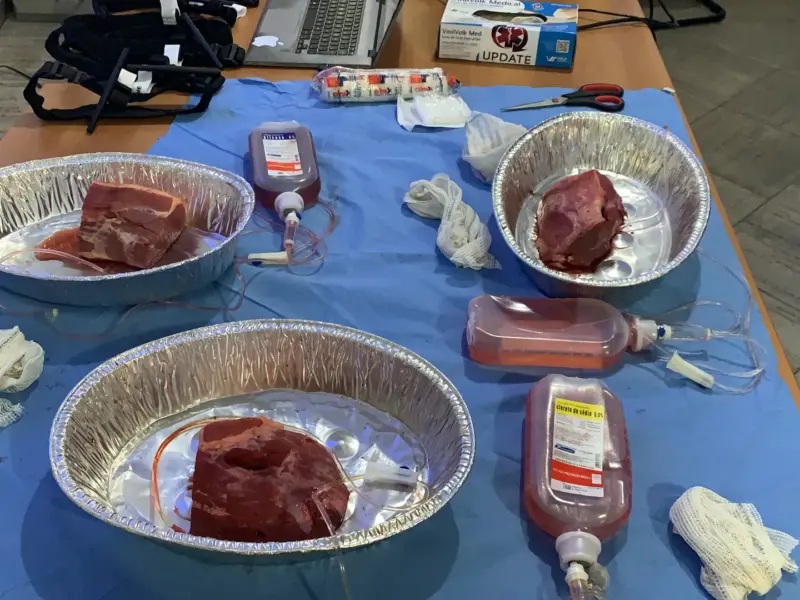 Turma do curso STOP THE BLEED em atividade prática, foto 1